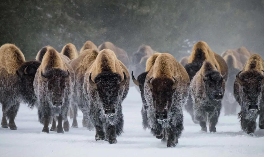 烟台合益利商贸有限公司轮播图1